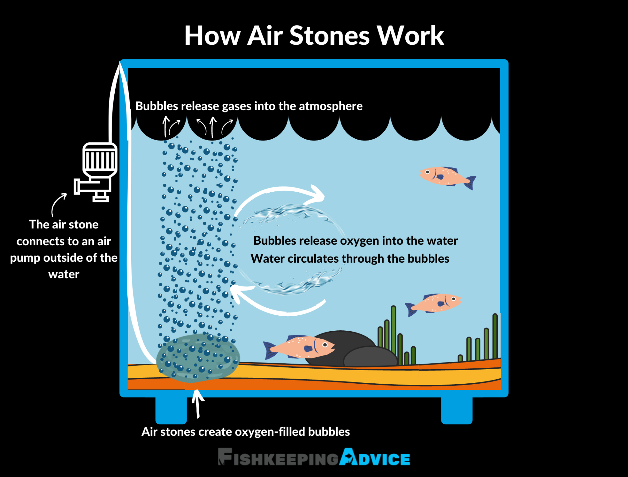 What Are Aquarium Air Stones? Do I Actually Need One? Fishkeeping Advice