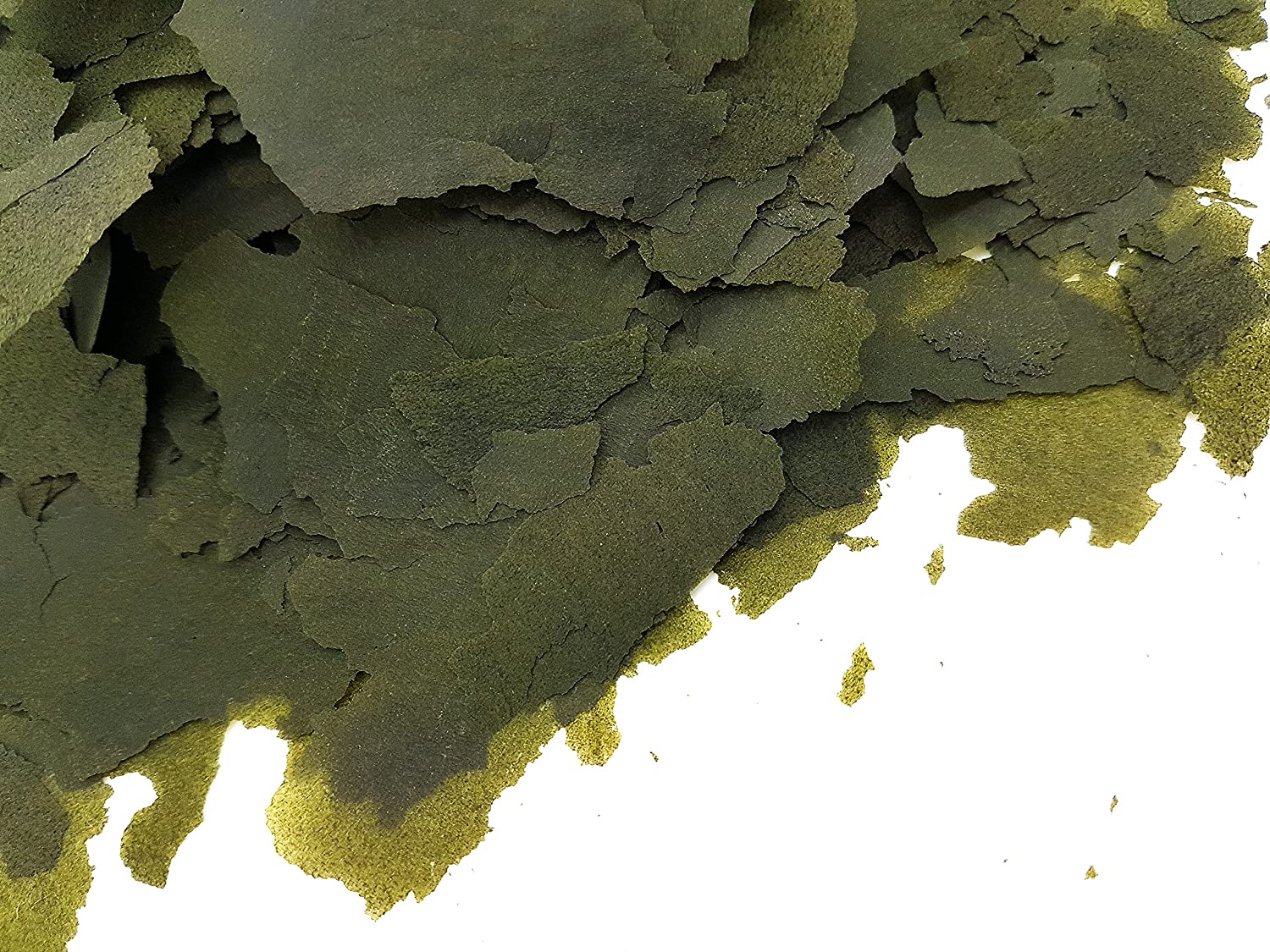 Spirulina Fish Food A Nutritional Powerhouse Fishkeeping Advice